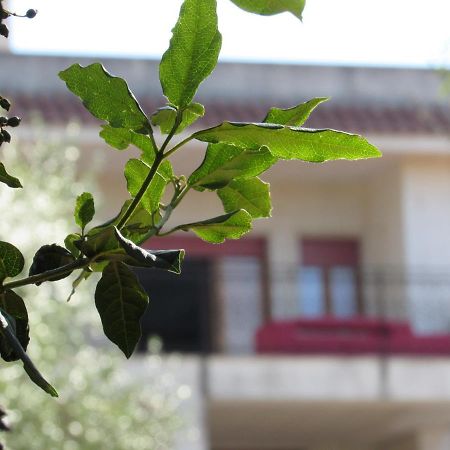 Villa Il Giovane Alloro Μαρτίνα Φράνκα Εξωτερικό φωτογραφία
