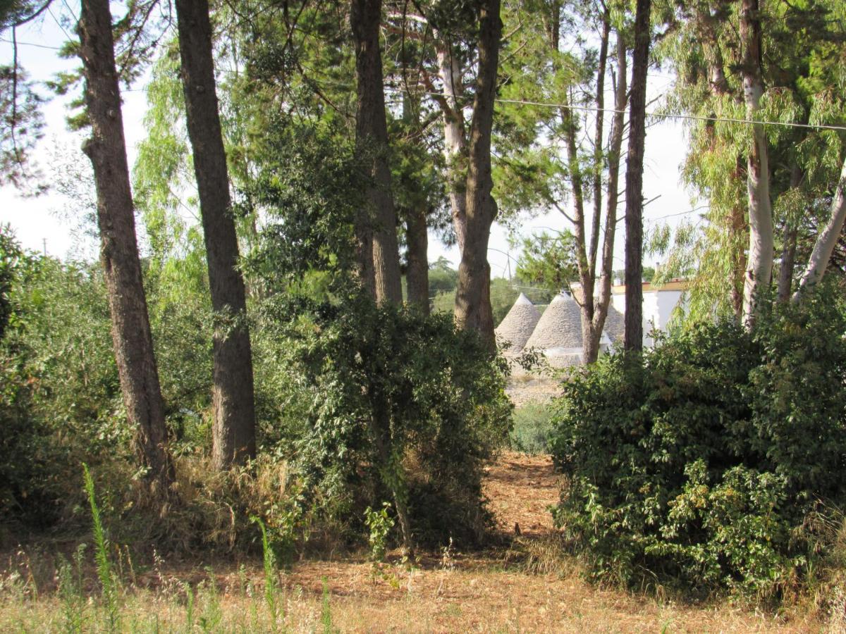 Villa Il Giovane Alloro Μαρτίνα Φράνκα Εξωτερικό φωτογραφία