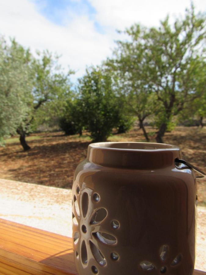 Villa Il Giovane Alloro Μαρτίνα Φράνκα Εξωτερικό φωτογραφία